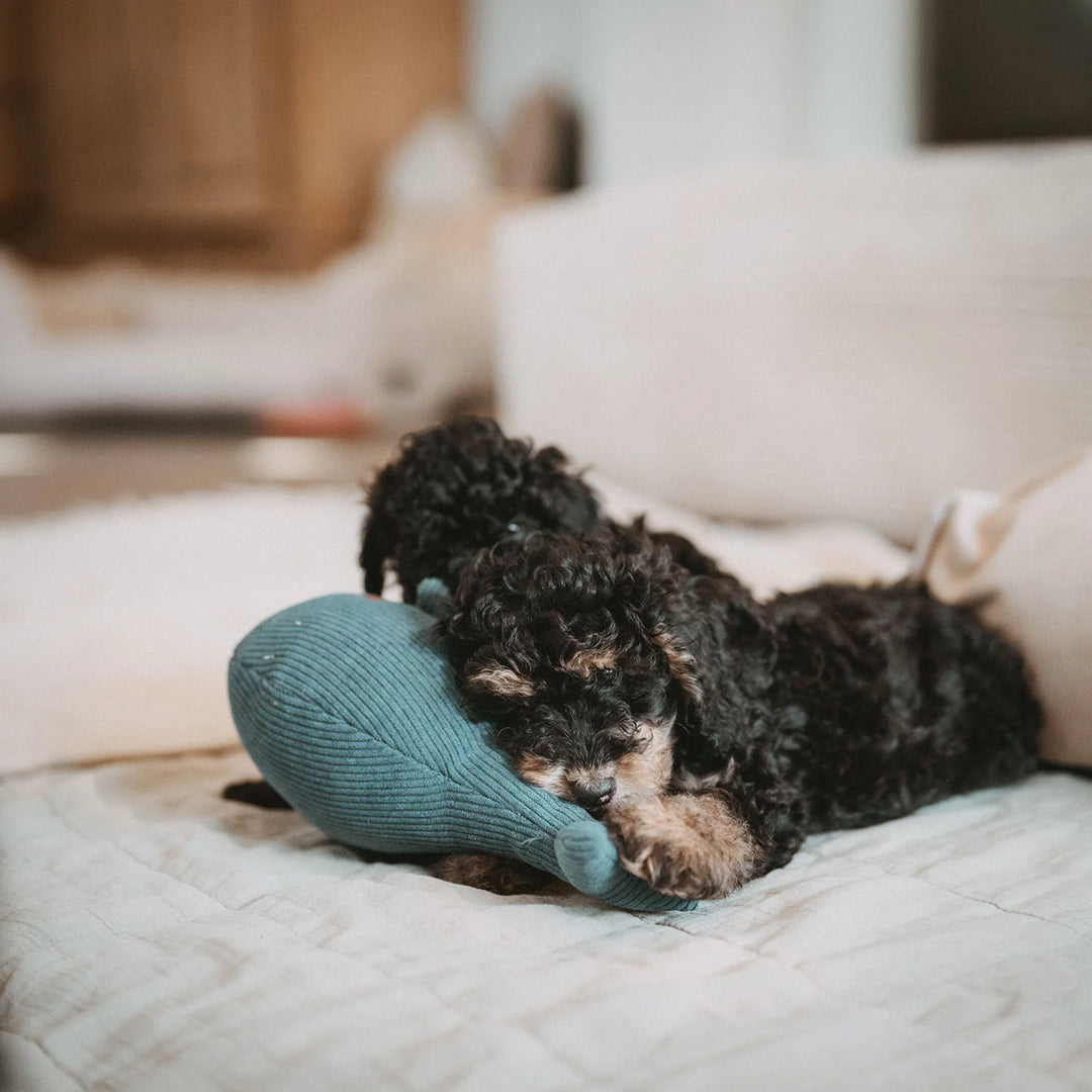 Hundespielzeug Winfried Wal