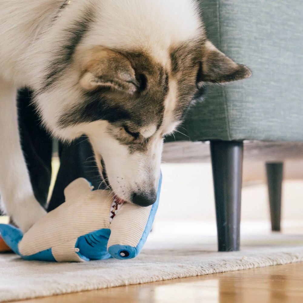 Hundespielzeug Meeresfreunde Bonk der Hammerhai