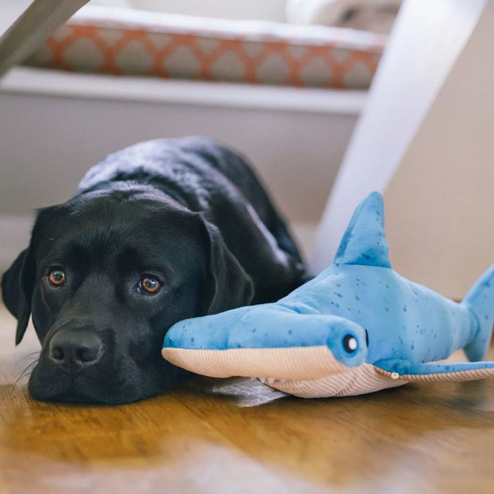 Hundespielzeug Meeresfreunde Bonk der Hammerhai