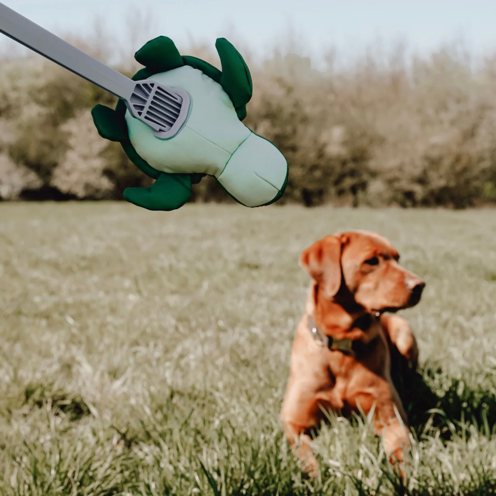 Wurf-Hundespielzeug FLINGERZ™ Splash - SCHILDKRÖTE Jetzt erhältlich bei  Dogsmopolitan