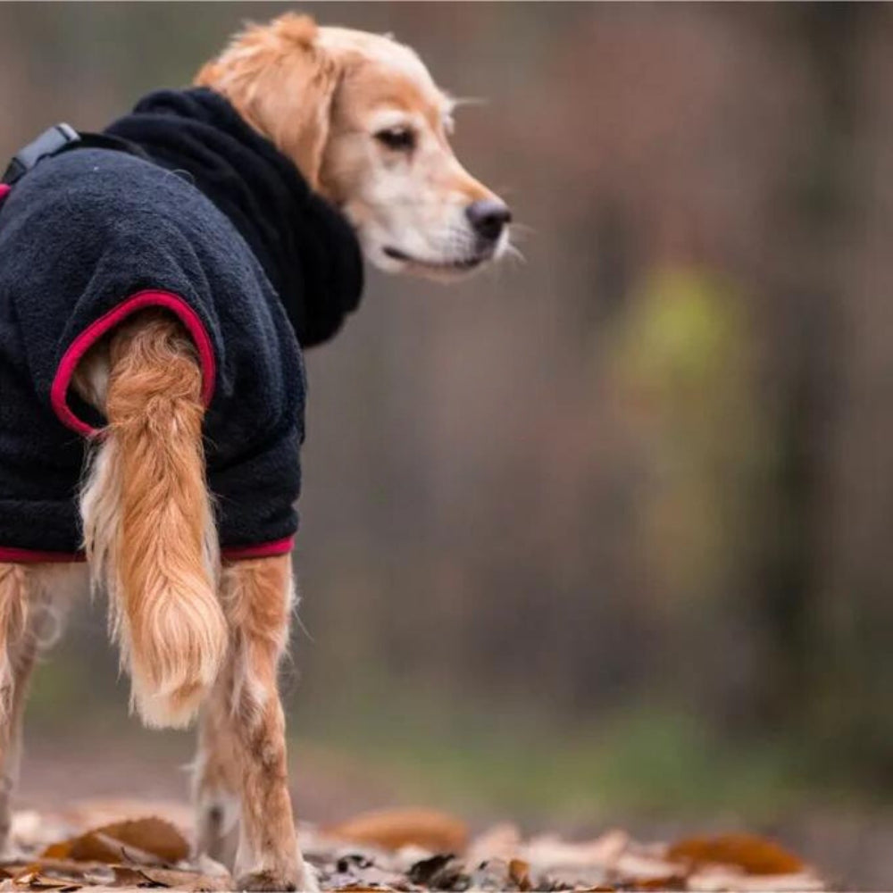 Dog Bathrobe Black 