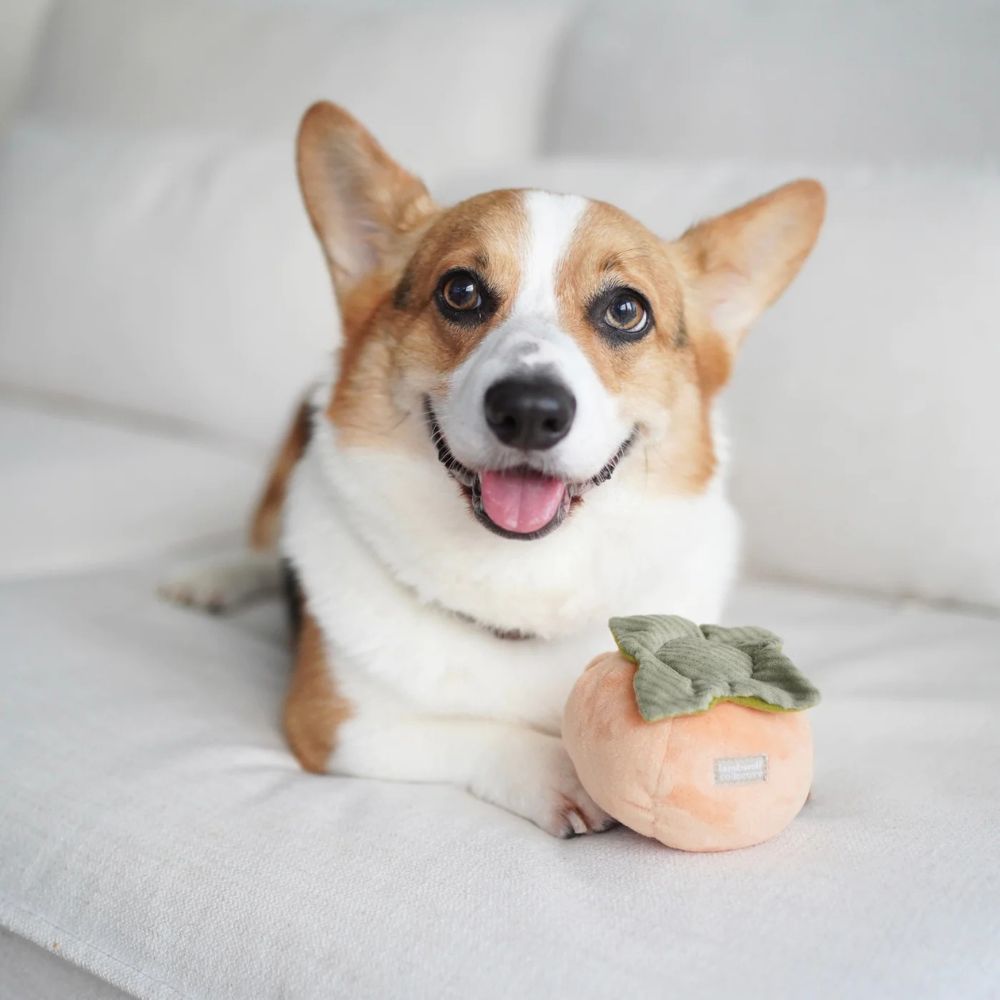 Hundespielzeug Schnüffel-Kaki