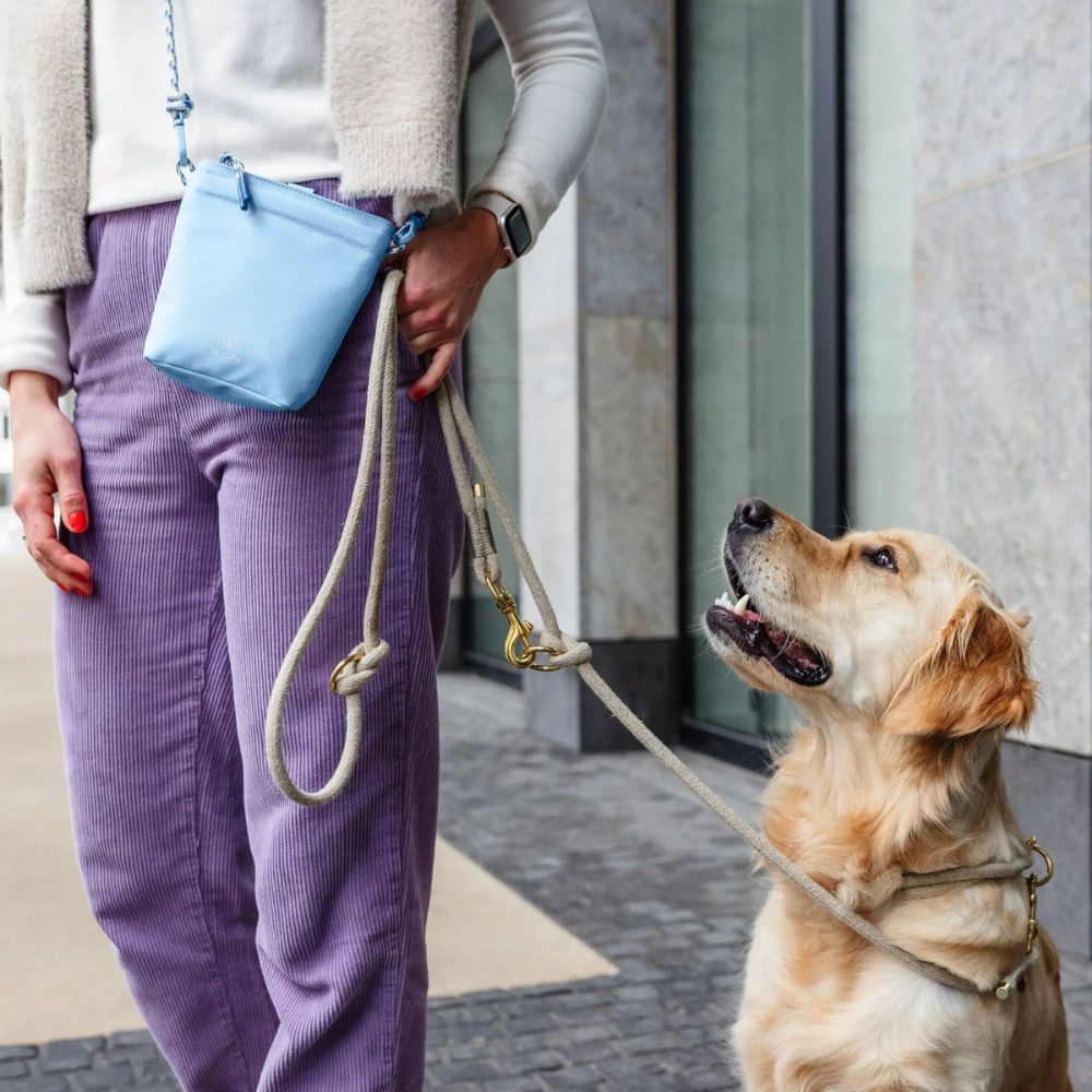 Treat bag / dog walking bag Karl light blue
