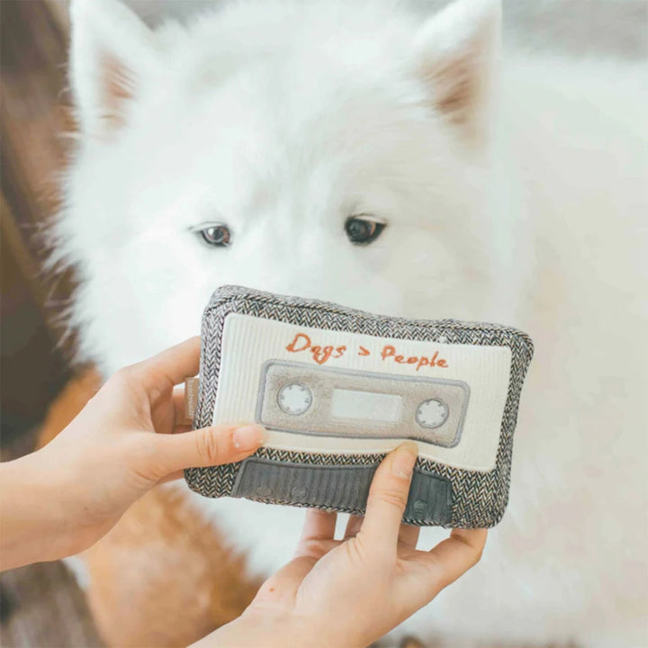 Hundespielzeug Schnüffel-Kassette