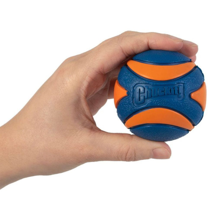 Chuck it Ball - Various Sizes With Squeeker 