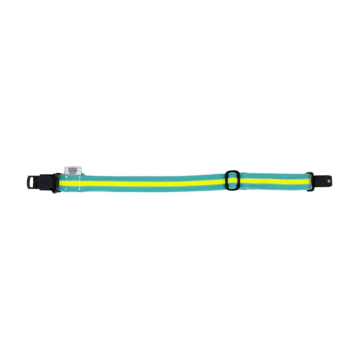 Hundehalsband Tau Ocean Glow