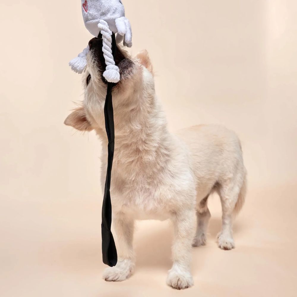 Dog toy - sniffing toy Calamari