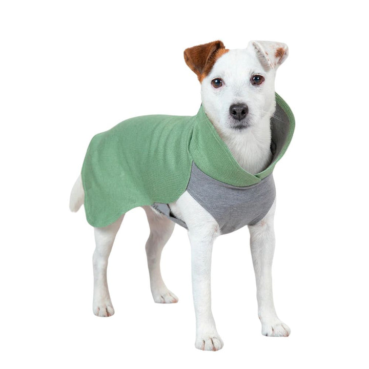 Hundepullover PAIKKA Recovery Winter Shirt Grün