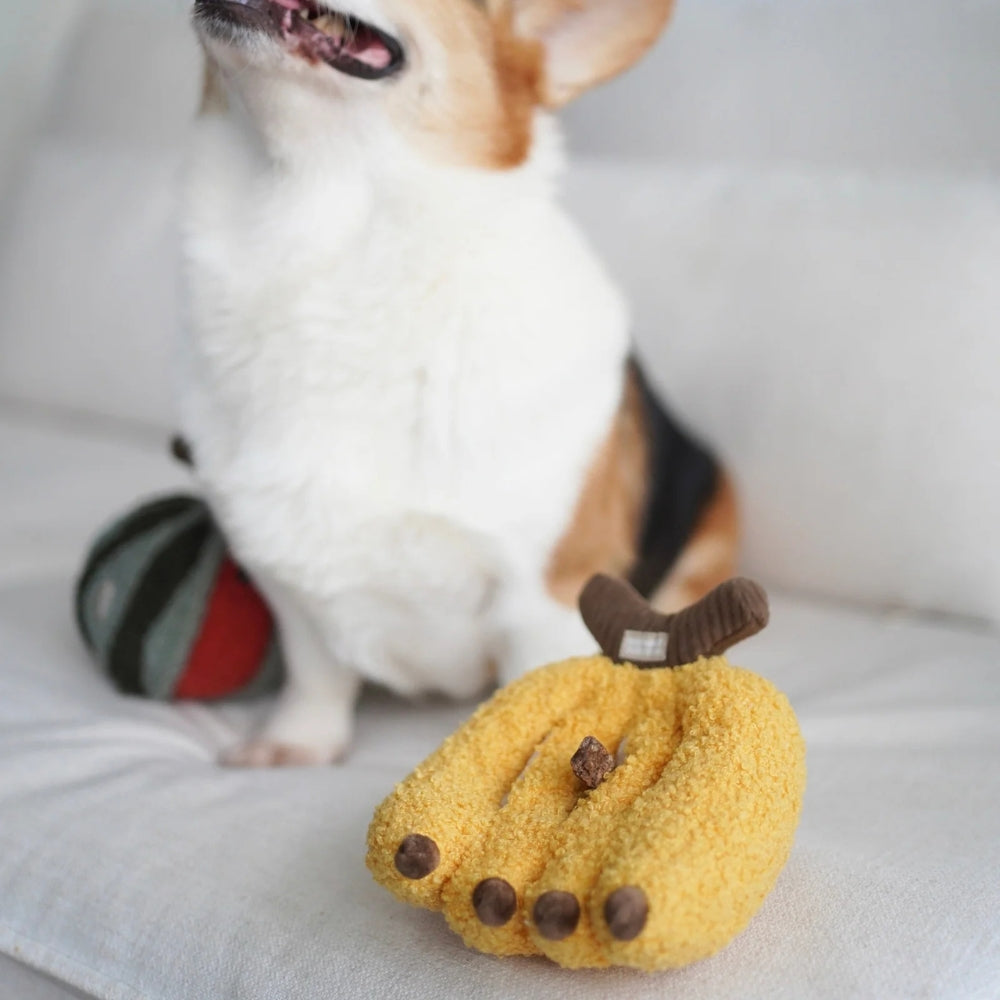 Hundespielzeug Schnüffel-Banane