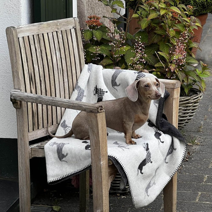 Hundedecke Dackel von Laboni - Für Zuhause und unterwegs