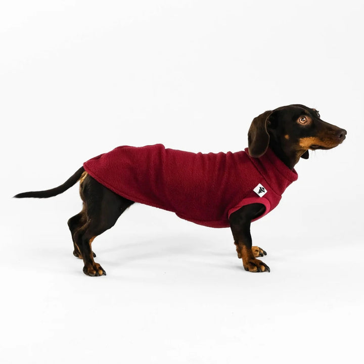 LONG SHIRT 2.0 für Dackel in Bordeaux