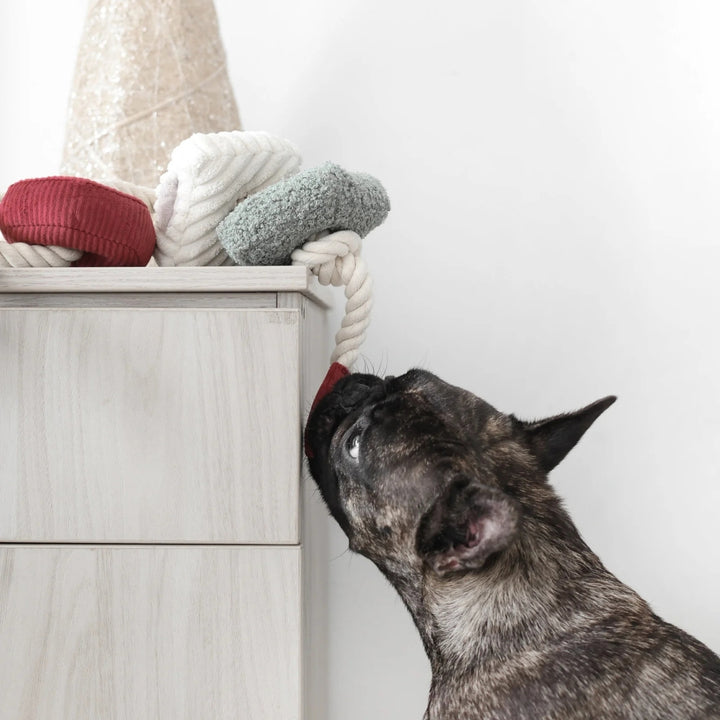 Hundespielzeug Schnüffel-Block-Kette *Limited Edition*