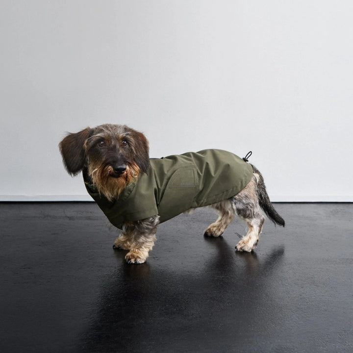 Hunderegenmantel DACKEL Dublin 2.0 Dark Olive
