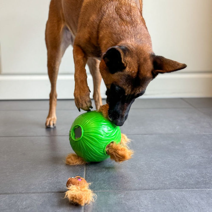 HUNDESCHNÜFFEL-LECKERLI-BALL