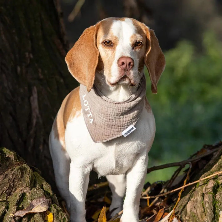 Personalisiertes Halstuch für Hund und Mensch Jetzt erhältlich bei  Dogsmopolitan