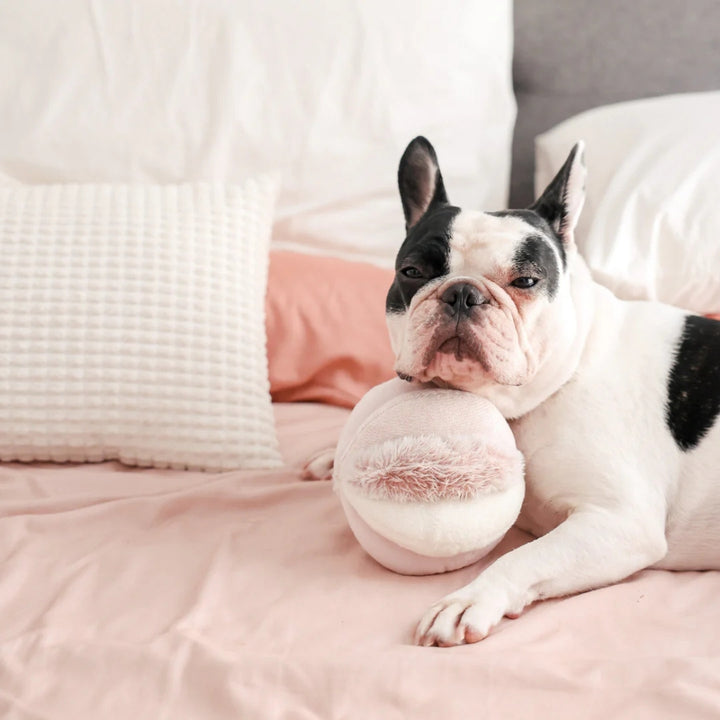 Schnüffelball Toto Blush