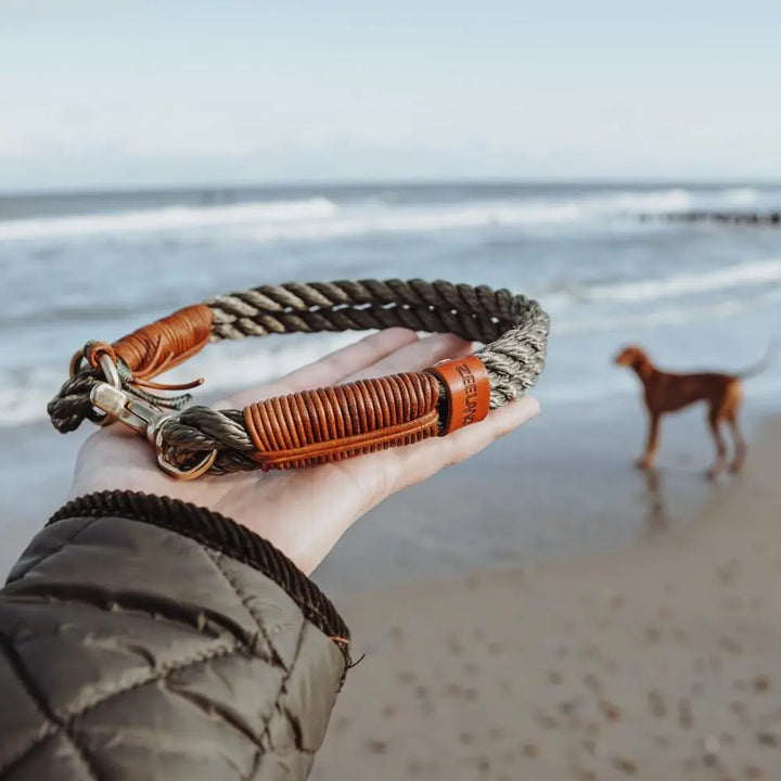 ZEELAND DOG Rainbow Jetzt erhältlich bei  Dogsmopolitan