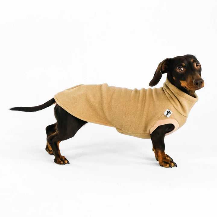 LONG SHIRT 2.0 für Dackel in Camel