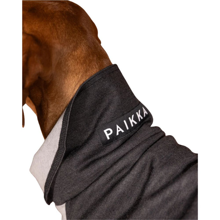 Hundepullover PAIKKA Recovery Winter Shirt Grau