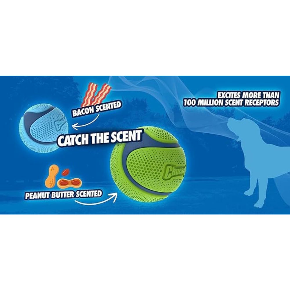 Chuck it Sniff Fetch Ball: 2 Bälle mit Speck- und Erdnussbutterduft!