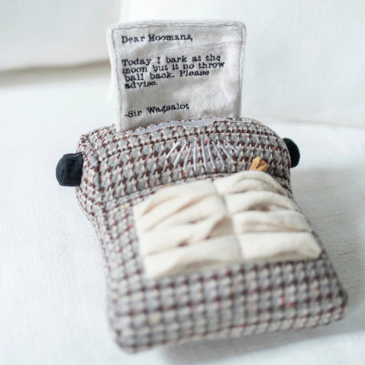 Hundespielzeug Schreibmaschine