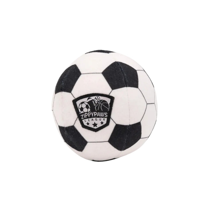 Hundespielzeug Stoff-Fußball