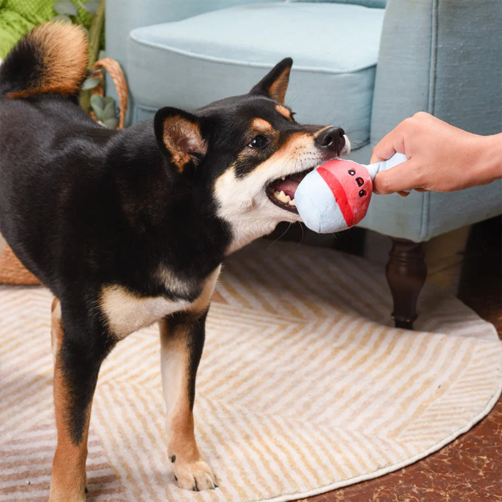Hundespielzeug kleines Picnic