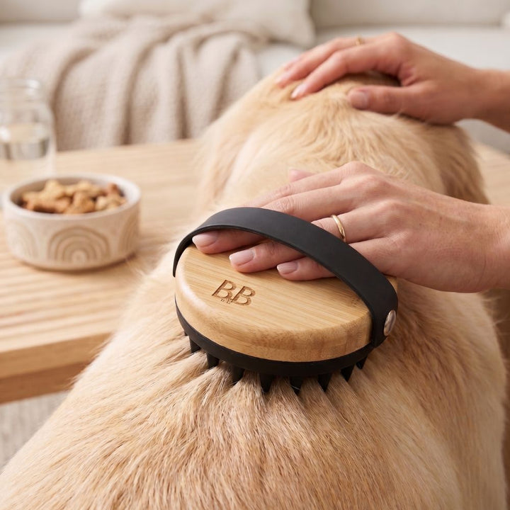 Wellness &amp; Massagebürste für Hunde