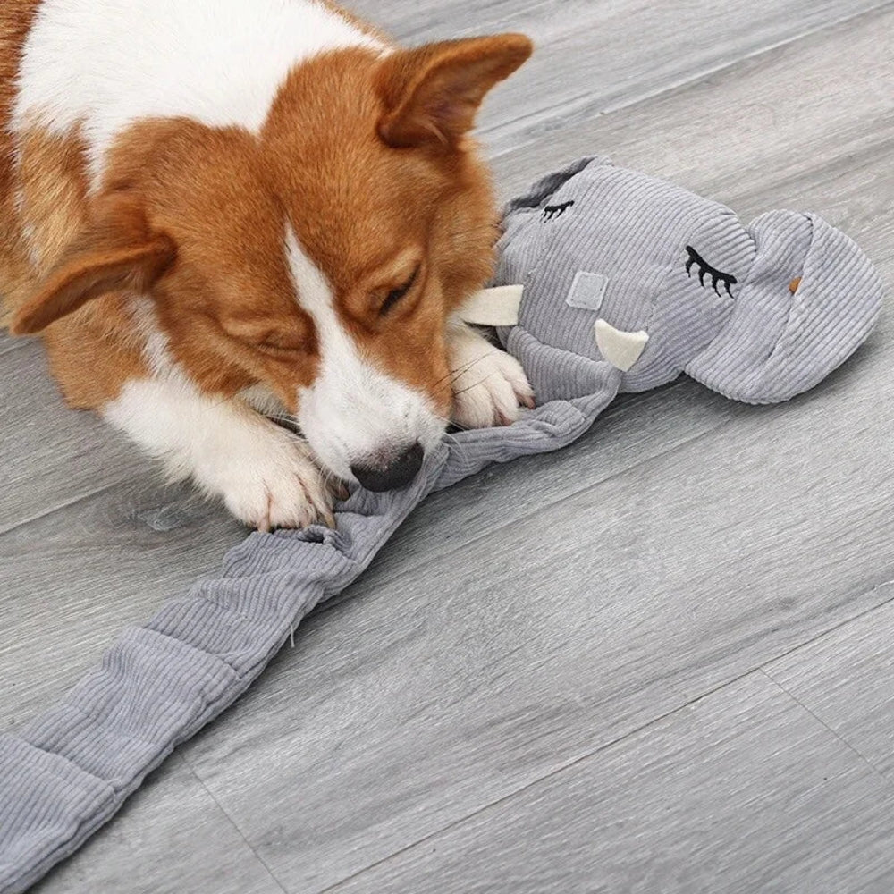 Schnüffelteppich Elefant Eliv