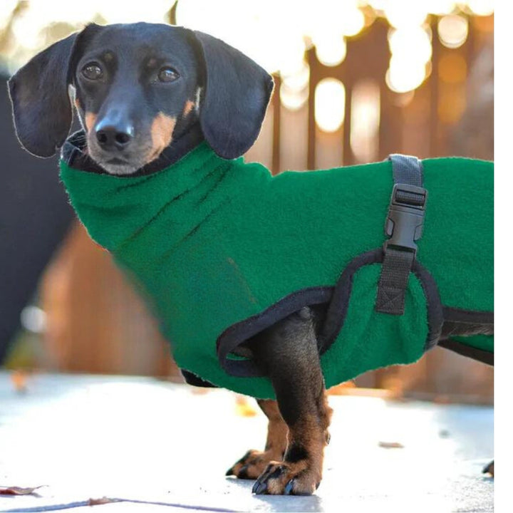 Dog bathrobe for dachshunds