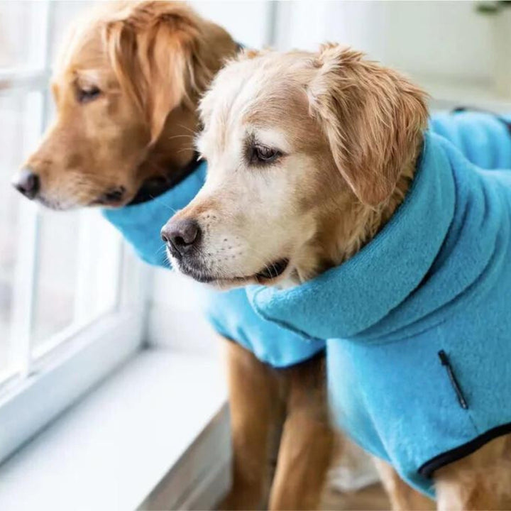 Dog bathrobe turquoise