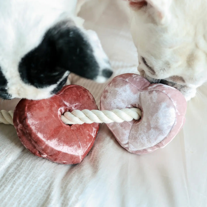 BLÖCKE mit Herz Jetzt erhältlich bei  Dogsmopolitan