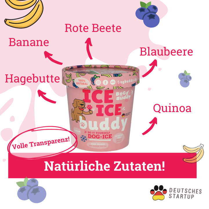 Ice Ice Buddy Kokos und Erdbeere