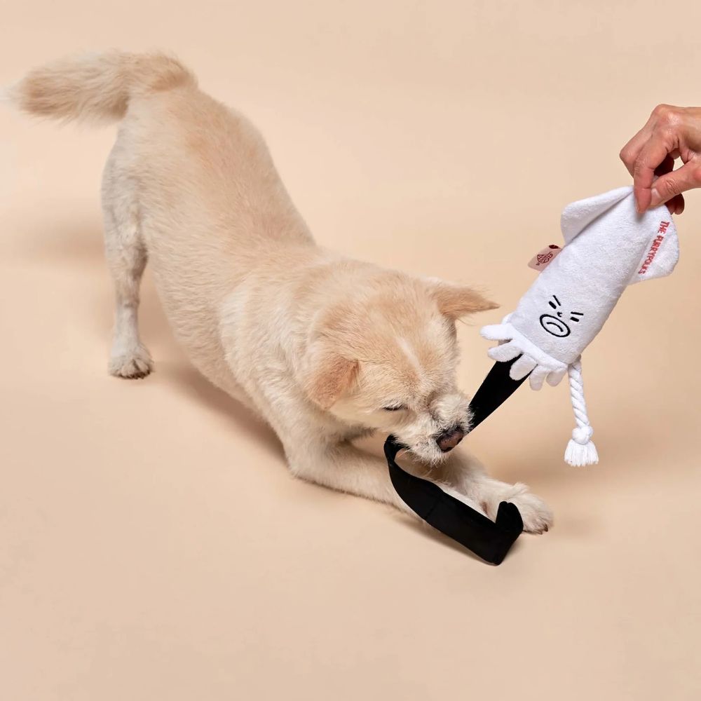 Dog toy - sniffing toy Calamari