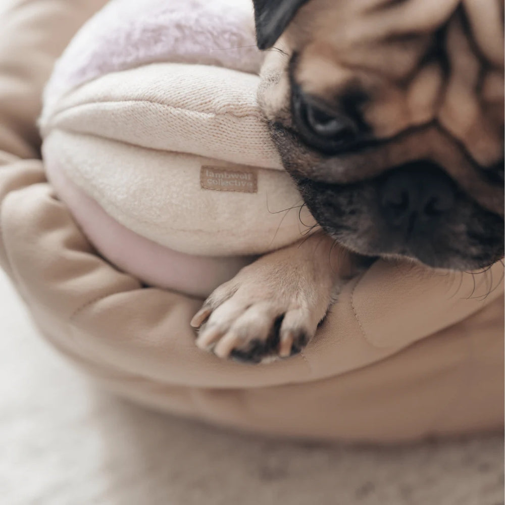 Schnüffelball Toto Blush