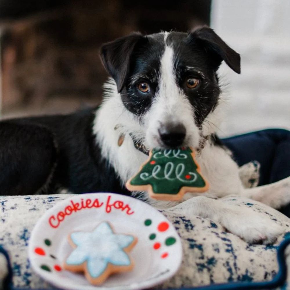 Hundespielzeug Weihnachtskeks-Teller