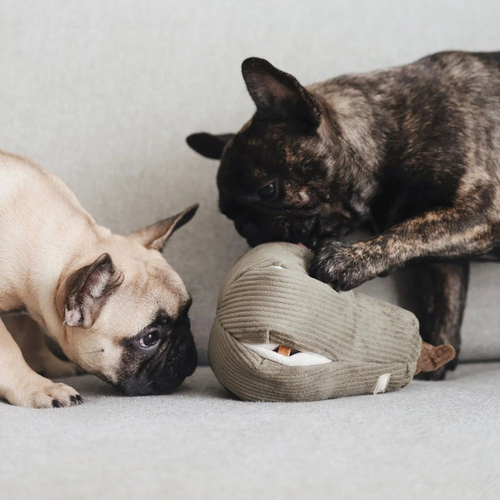 Hundespielzeug Schnüffel-Butternusskürbis