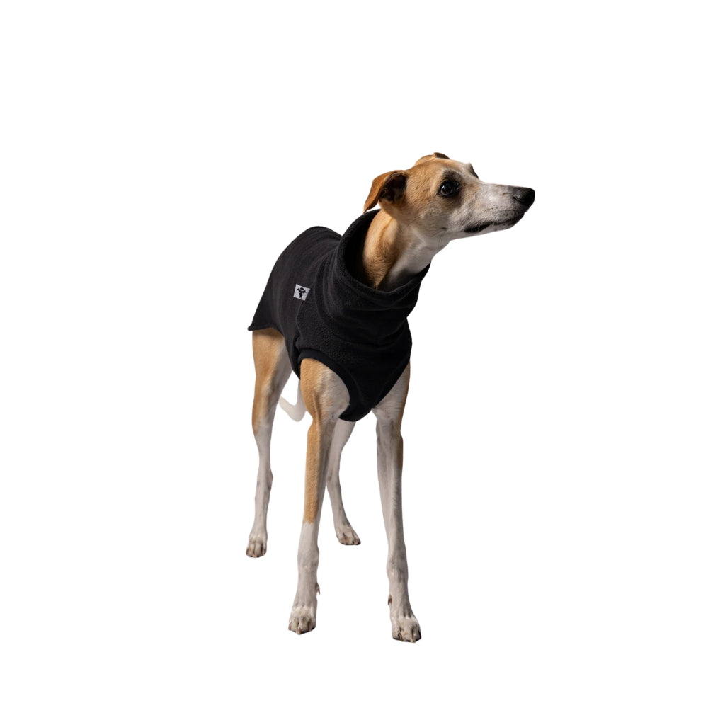 LONG SHIRT 2.0 für Whippet, Windsprite, Podenco, Galgo in Schwarz