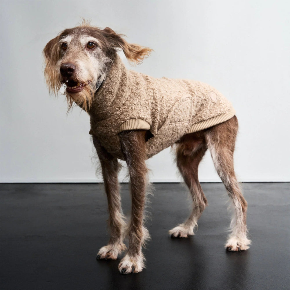 Hundepullover Gotland Sandy Brown
