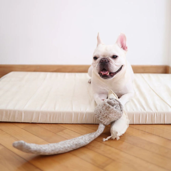 Hundespielzeug Schnüffel-Schnecke