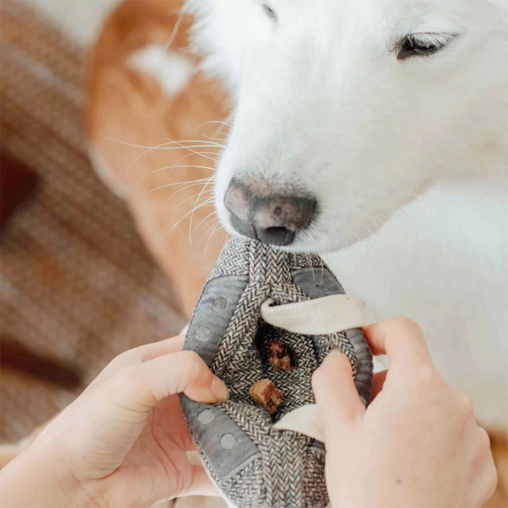 Hundespielzeug Schnüffel-Kassette
