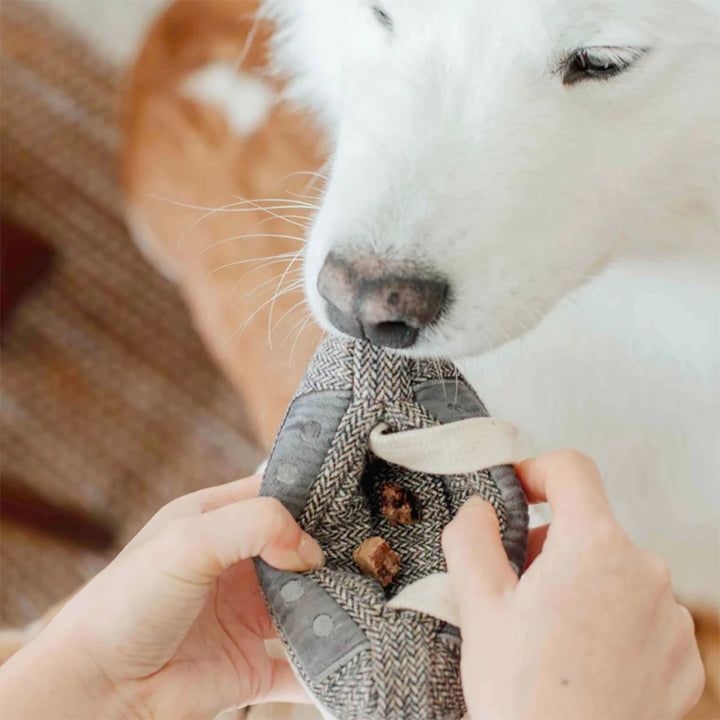 Hundespielzeug Schnüffel-Kassette
