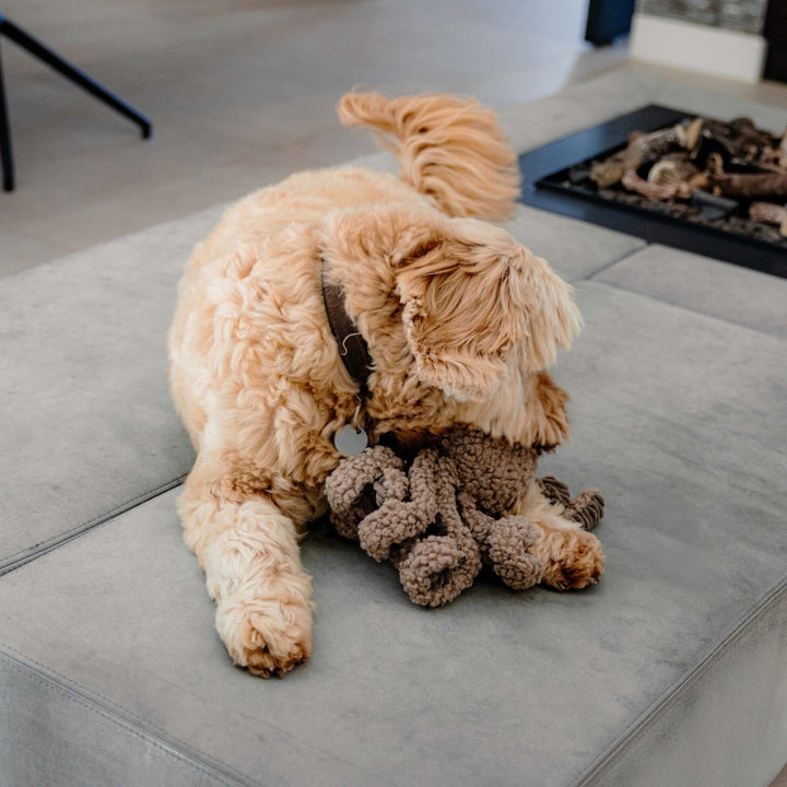 Hundespielzeug Ocky Oktopus