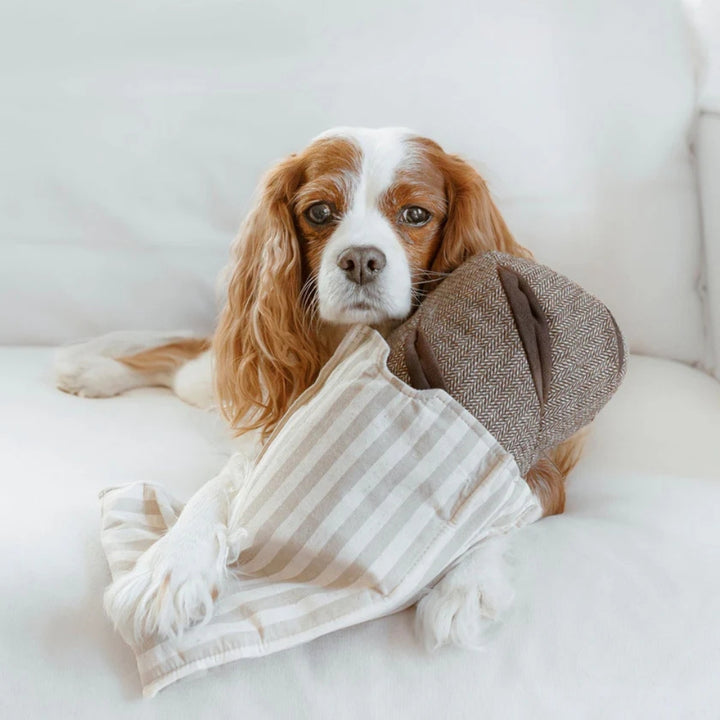 Hundespielzeug Schnüffel-Baguette