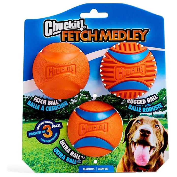 Chuck it Ball-Set Medium