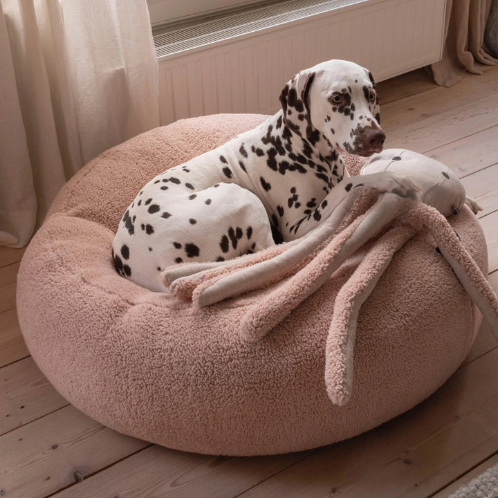 Hundespielzeug Oktopus Otto
