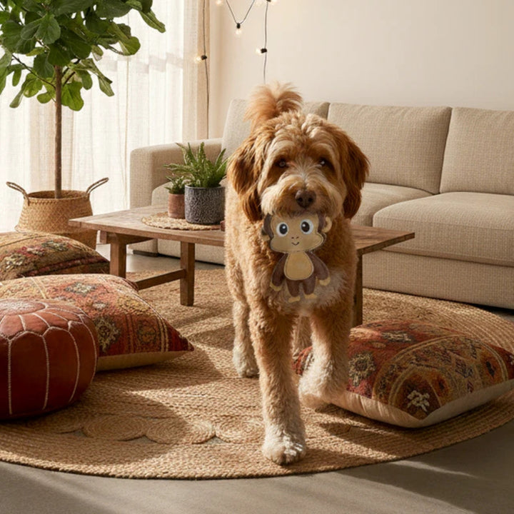 Hundespielzeug Affe Amadeo