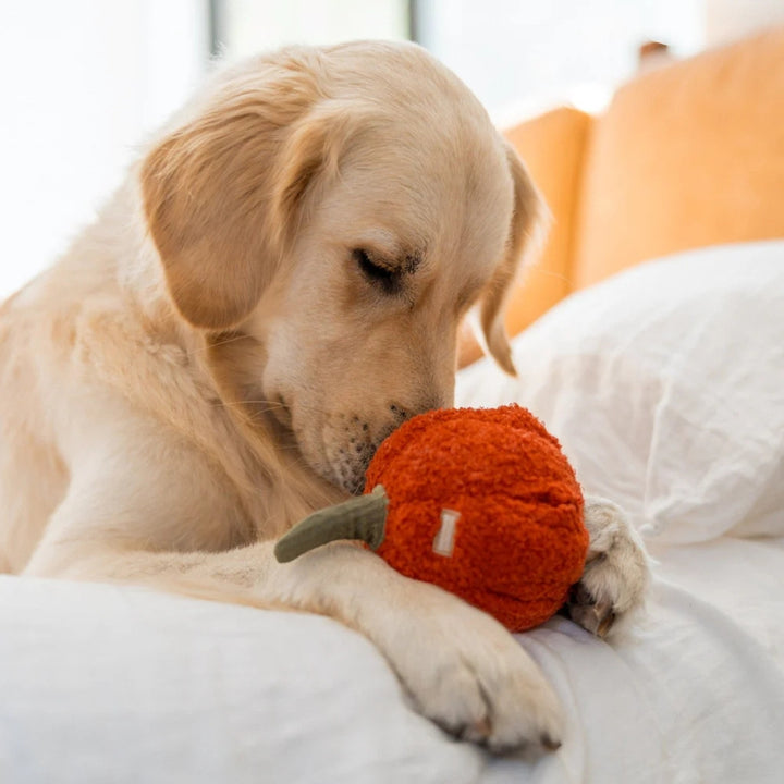 Hundespielzeug Schnüffelpaprika Pepper