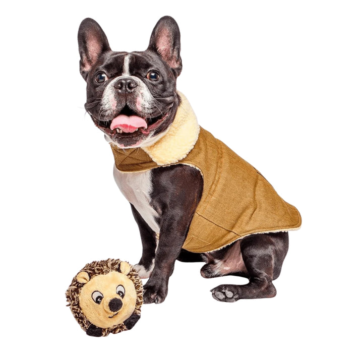 Hundespielzeug Igel-Ball