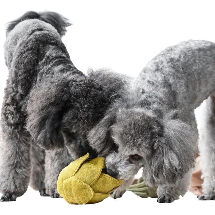 Hundespielzeug Schnüffel-Artischocke